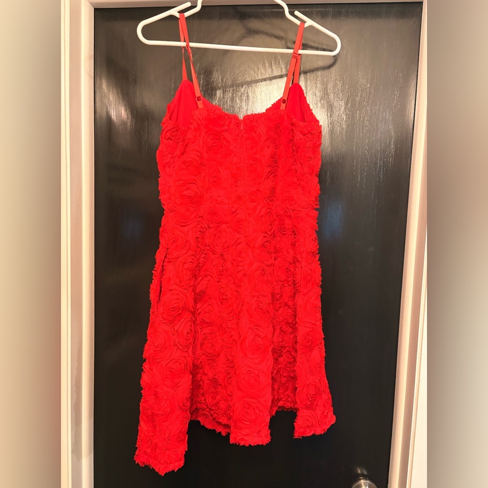 Express Red Rose Dress NWT - Picture 3 of 4